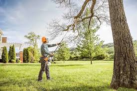 Best Hazardous Tree Removal  in Taylor Creek, OH