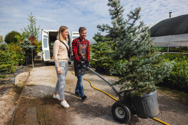 Best Arborist Consultation Services  in Taylor Creek, OH