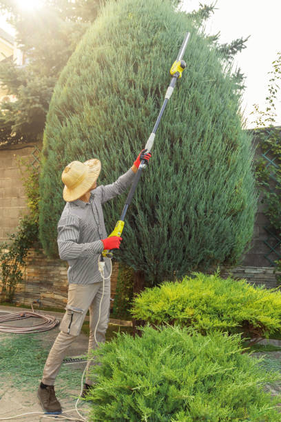 Best Aeration Services  in Taylor Creek, OH